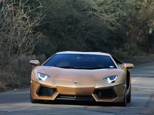 Preview wallpaper lamborghini, aventador, front view, green, road, trees