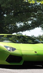 Preview wallpaper lamborghini, aventador, front view, green, lights, trees, sky