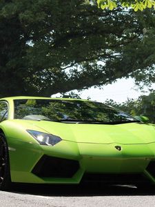 Preview wallpaper lamborghini, aventador, front view, green, lights, trees, sky