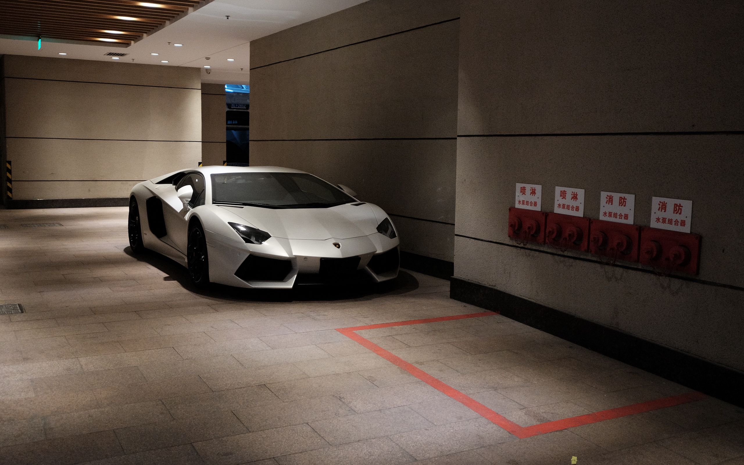 2560x1600 Wallpaper lamborghini aventador, lamborghini, car, white, garage