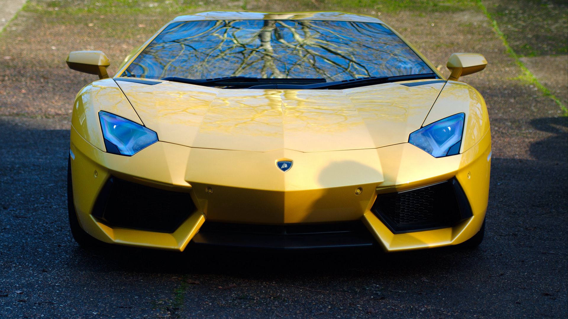 Premium Photo | A yellow lamborghini with a burning fire wallpaper  background illustration images