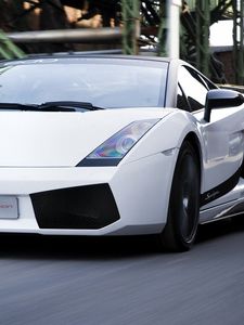 Preview wallpaper lamborghini, gallardo, superleggera, white, front view