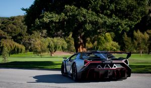 Preview wallpaper lamborghini, veneno, supercar, rear view, nature