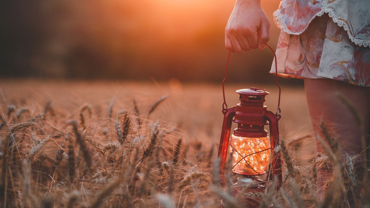 Wallpaper lamp, field, grass, hand