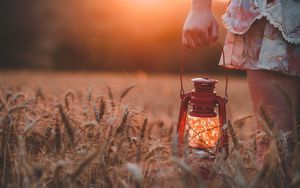 Preview wallpaper lamp, field, grass, hand