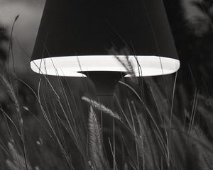 Preview wallpaper lamp, floor lamp, grass, bw