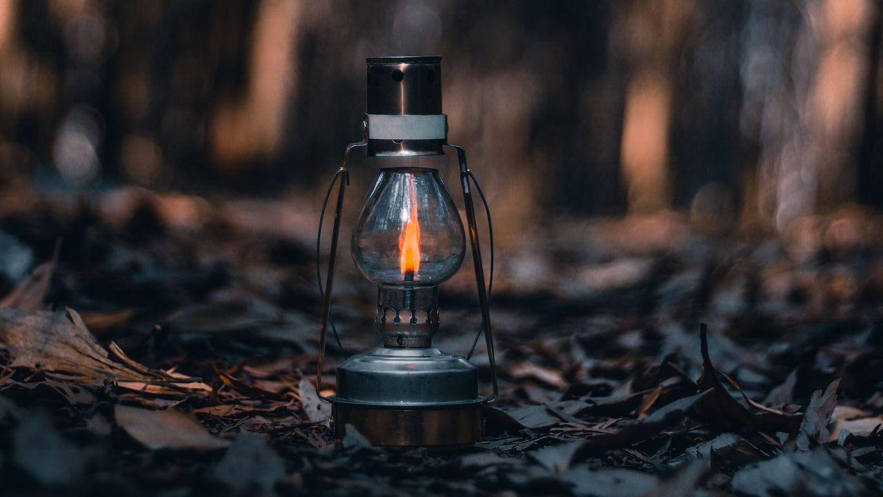 Wallpaper lamp, lantern, fire, leaves, dry, autumn