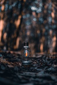 Preview wallpaper lamp, lantern, fire, leaves, dry, autumn
