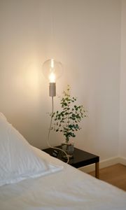 Preview wallpaper lamp, light bulb, branch, room, interior