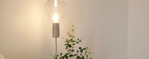 Preview wallpaper lamp, light bulb, branch, room, interior