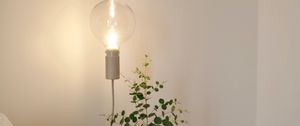 Preview wallpaper lamp, light bulb, branch, room, interior