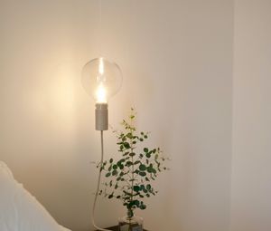 Preview wallpaper lamp, light bulb, branch, room, interior