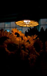 Preview wallpaper lamp, light, sunflowers, flowers, dark