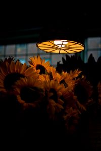 Preview wallpaper lamp, light, sunflowers, flowers, dark