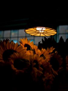 Preview wallpaper lamp, light, sunflowers, flowers, dark