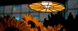 Preview wallpaper lamp, light, sunflowers, flowers, dark