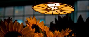 Preview wallpaper lamp, light, sunflowers, flowers, dark