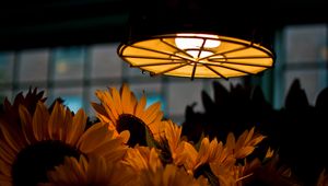 Preview wallpaper lamp, light, sunflowers, flowers, dark