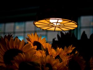 Preview wallpaper lamp, light, sunflowers, flowers, dark