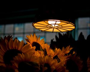 Preview wallpaper lamp, light, sunflowers, flowers, dark