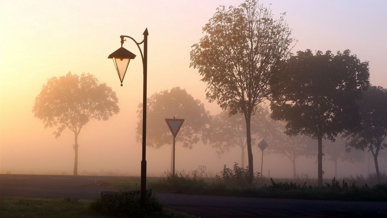 Wallpaper lamp, signs, fog, trees