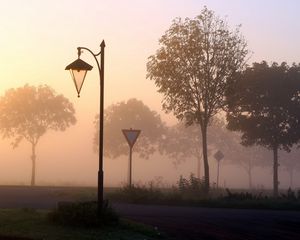 Preview wallpaper lamp, signs, fog, trees