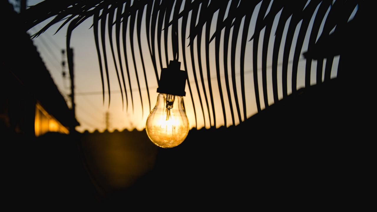 Wallpaper lamp, sunset, branch, light