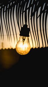 Preview wallpaper lamp, sunset, branch, light