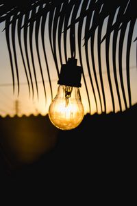 Preview wallpaper lamp, sunset, branch, light