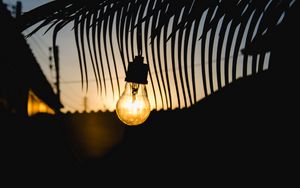 Preview wallpaper lamp, sunset, branch, light