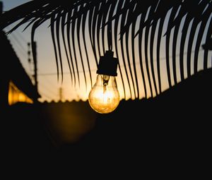 Preview wallpaper lamp, sunset, branch, light