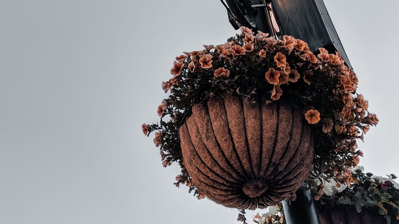 Wallpaper lamppost, flowers, lantern, pots, decoration