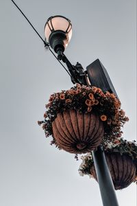Preview wallpaper lamppost, flowers, lantern, pots, decoration