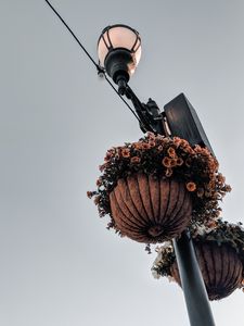 Preview wallpaper lamppost, flowers, lantern, pots, decoration