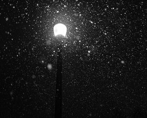 Preview wallpaper lamppost, snow, light, glare, night, bw