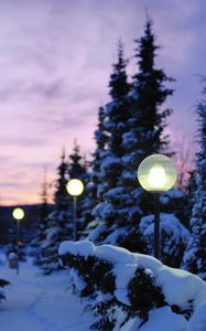 Preview wallpaper lamps, snow, winter, evening