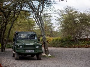 Preview wallpaper land rover defender, land rover, car, safari, green