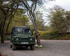 Preview wallpaper land rover defender, land rover, car, safari, green