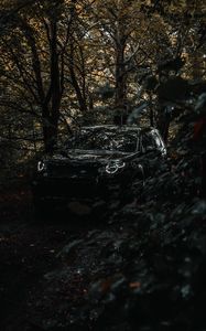 Preview wallpaper land rover discovery 3, land rover, suv, car, forest