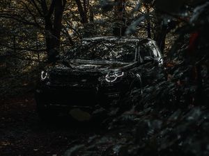 Preview wallpaper land rover discovery 3, land rover, suv, car, forest