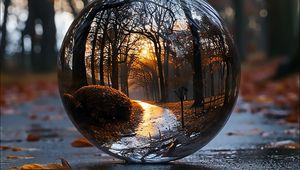 Preview wallpaper landscape, ball, transparent, reflection, trees, path