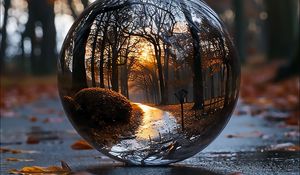 Preview wallpaper landscape, ball, transparent, reflection, trees, path