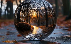 Preview wallpaper landscape, ball, transparent, reflection, trees, path