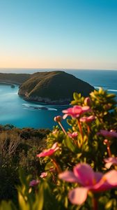 Preview wallpaper landscape, bay, cove, sea, mountains, flowers