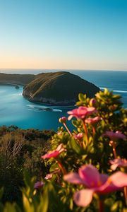 Preview wallpaper landscape, bay, cove, sea, mountains, flowers