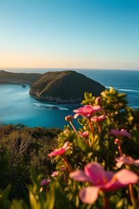 Preview wallpaper landscape, bay, cove, sea, mountains, flowers