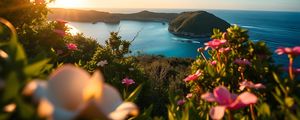 Preview wallpaper landscape, bay, cove, sea, mountains, flowers