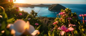 Preview wallpaper landscape, bay, cove, sea, mountains, flowers