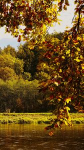 Preview wallpaper landscape, branches, pond, autumn, nature