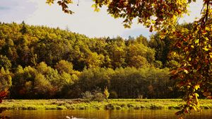 Preview wallpaper landscape, branches, pond, autumn, nature